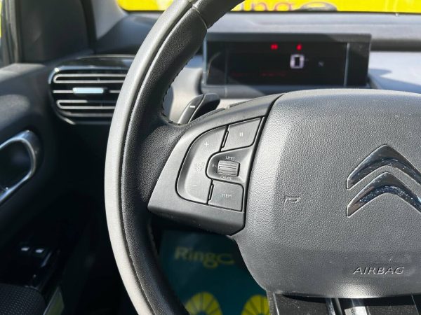 Citroen C4 Cactus I - Image 22