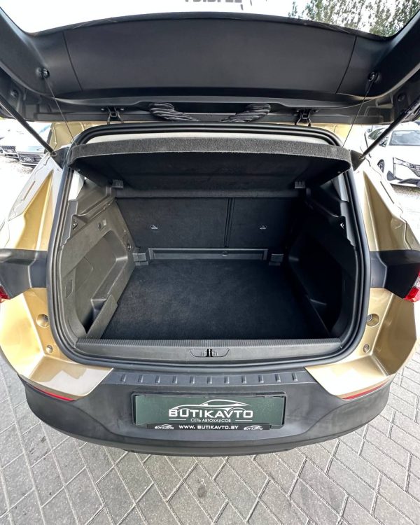 Opel Grandland X I - Image 10