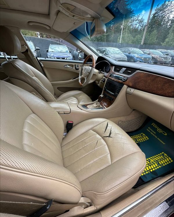 Mercedes-Benz CLS C219 - Image 12
