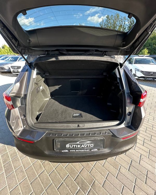Opel Grandland X I - Image 10