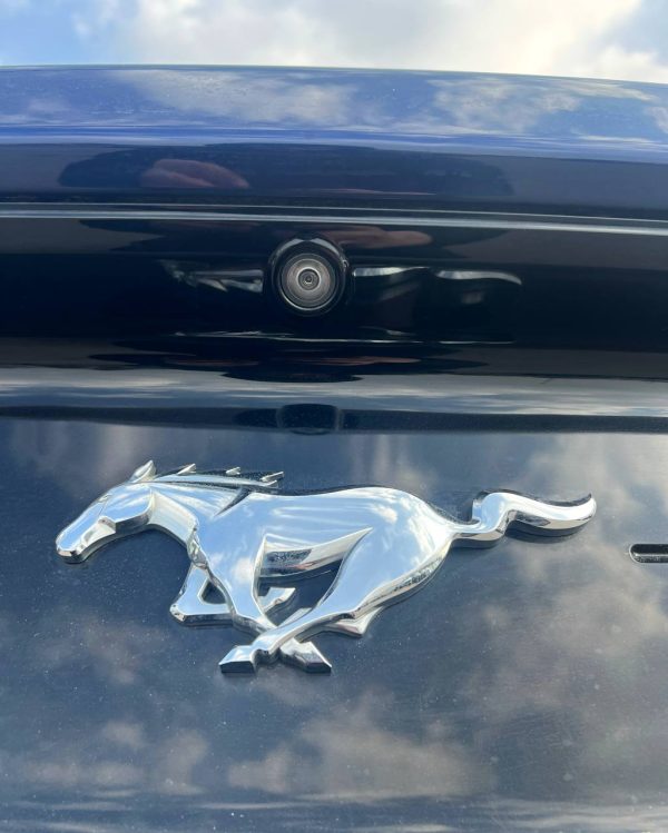 Ford Mustang - Image 17
