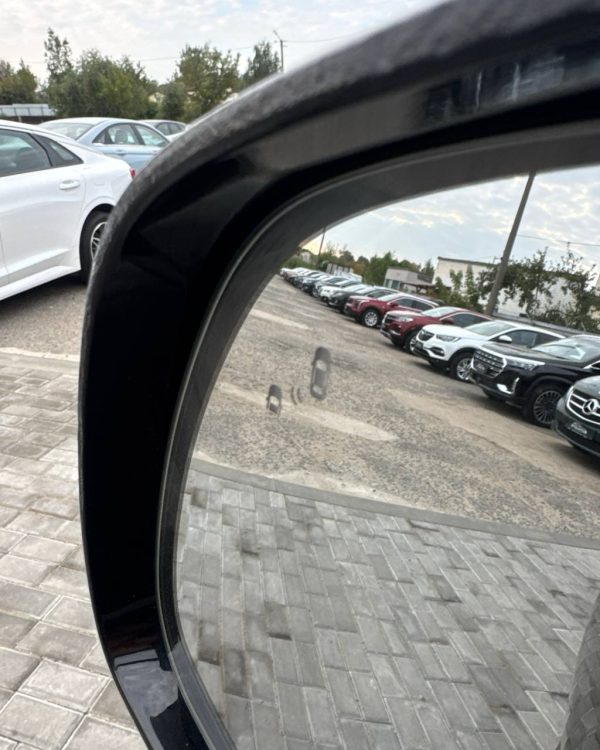 Kia Carnival III - Image 29