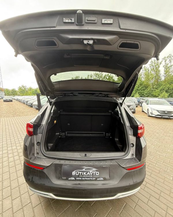 Opel Grandland X I - Image 10