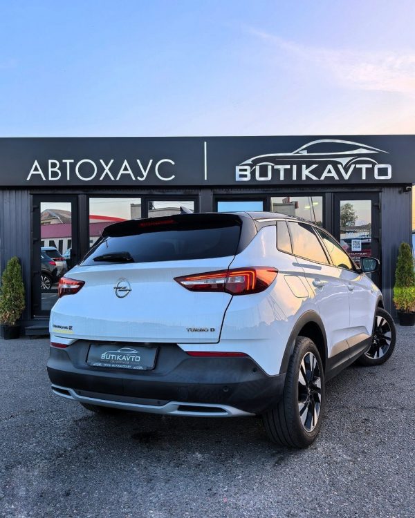 Opel Grandland X I - Image 6