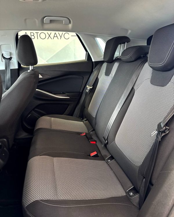 Opel Grandland X I - Image 13
