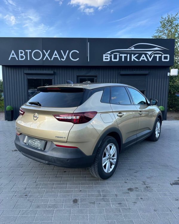 Opel Grandland X I - Image 6