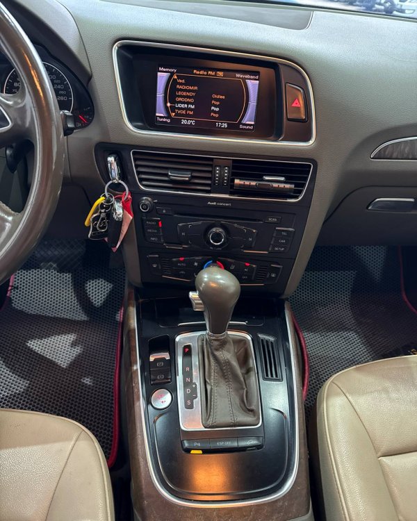 Audi Q5 8R - Image 14