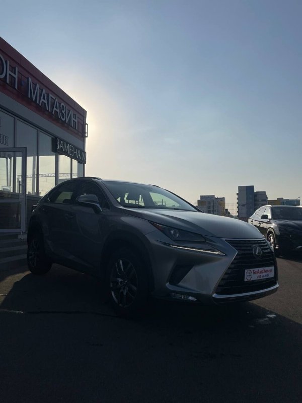 Lexus NX, 2018 - Image 6