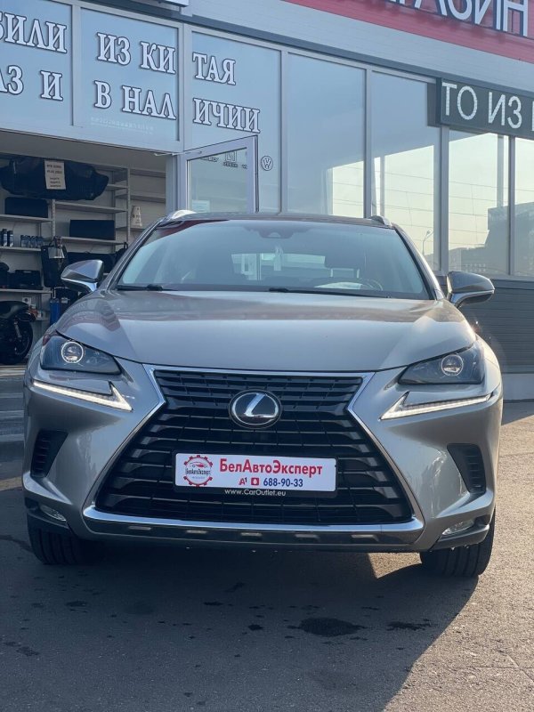 Lexus NX, 2018 - Image 2