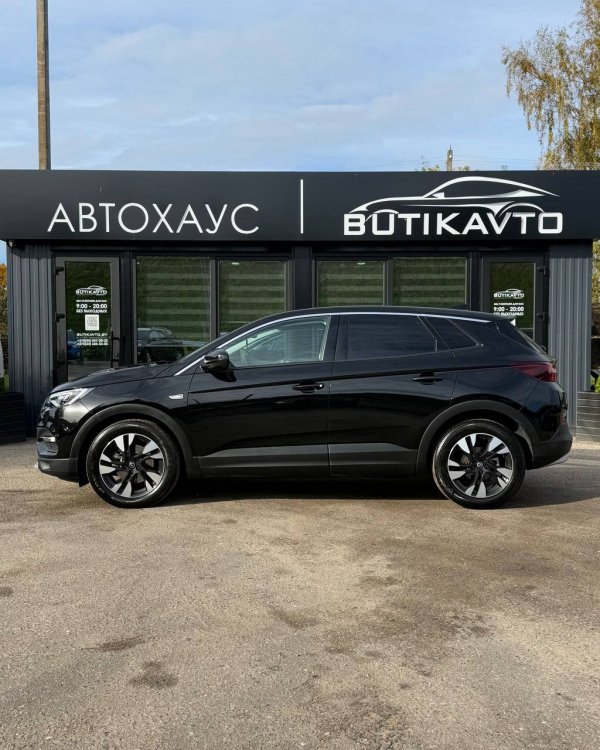 Opel Grandland X I - Image 4