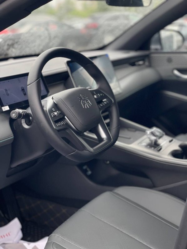 BYD Qin Plus EV, Версия для интеллектуального вождения, 2025 - Image 14