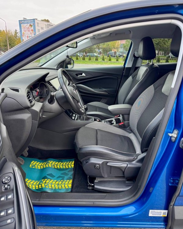 Opel Grandland X I - Image 10