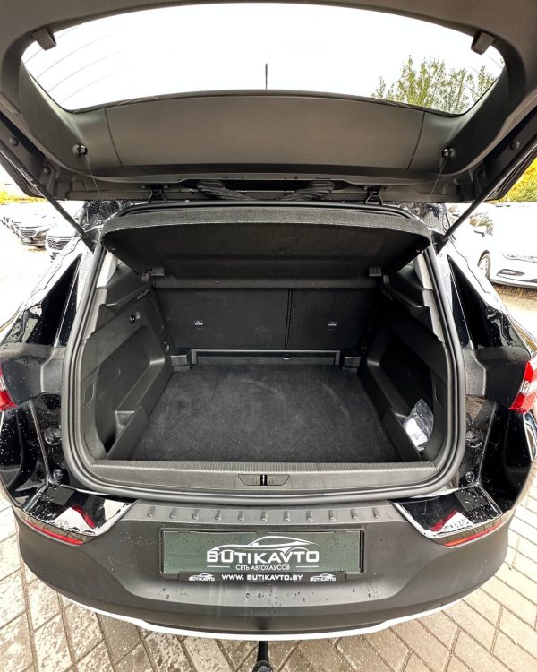 Opel Grandland X I - Image 10
