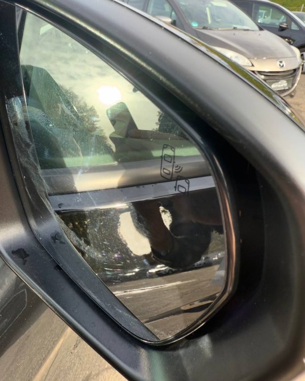 Opel Grandland X I - Image 15