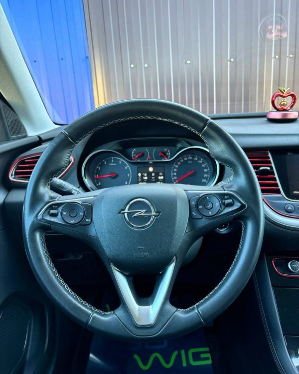 Opel Grandland X I - Image 14