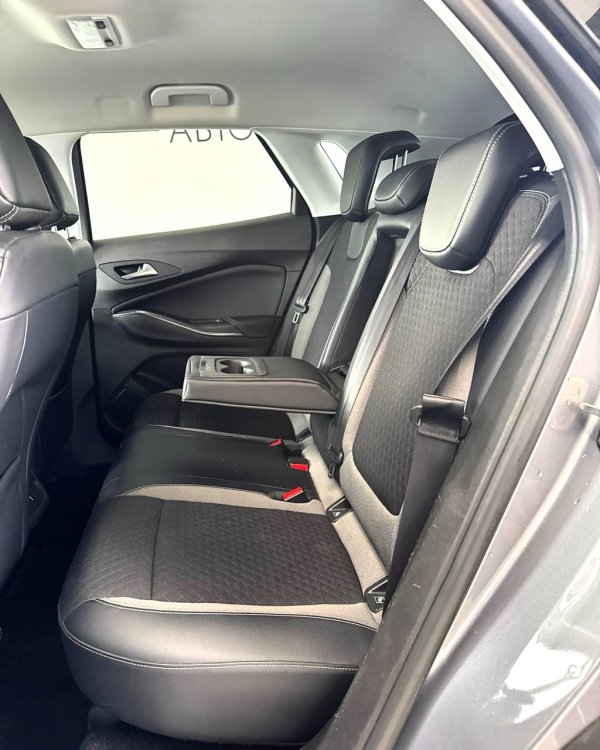 Opel Grandland X I - Image 13