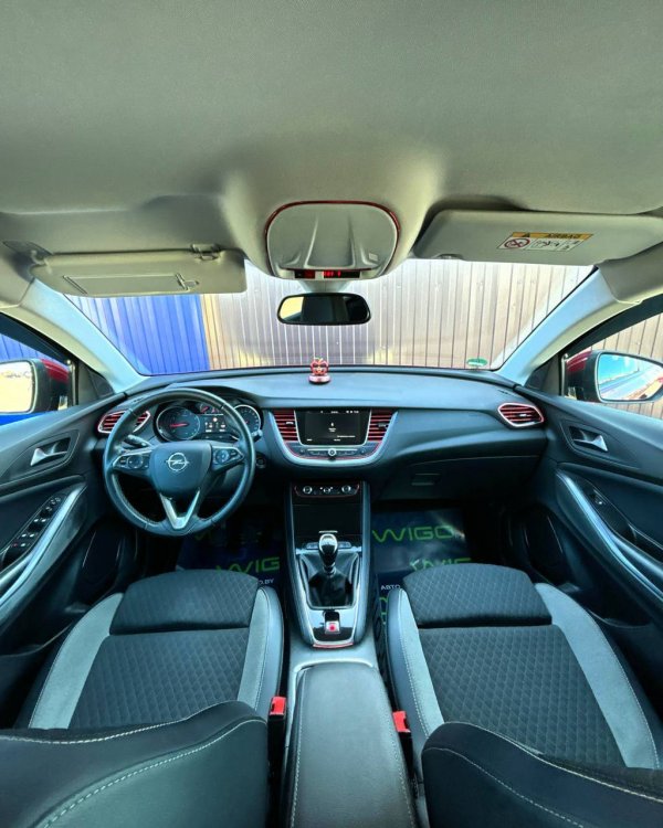 Opel Grandland X I - Image 9