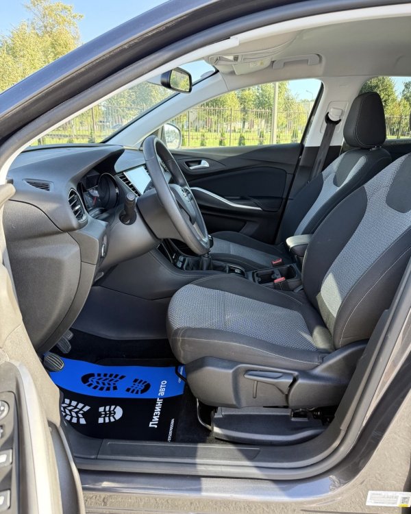 Opel Grandland X I - Image 10