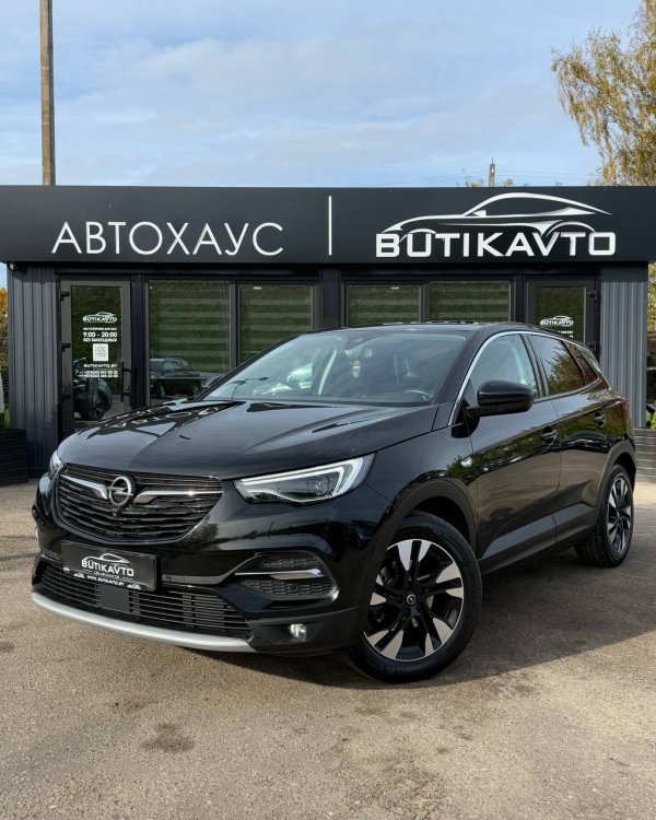 Opel Grandland X I - Image 3